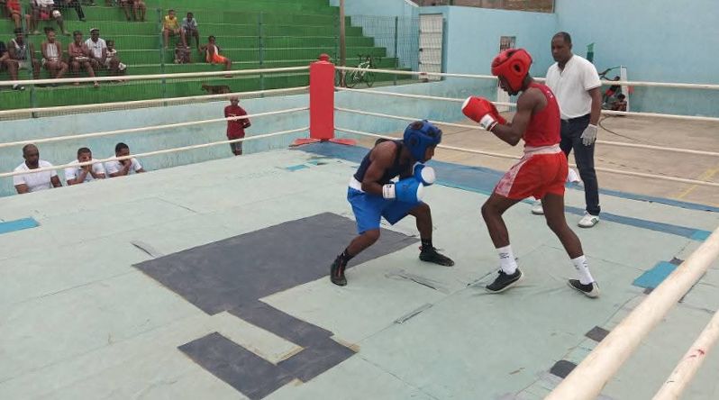 São Vicente: Mais de 30 atletas participam de torneio de boxe em comemoração ao Dia da cidade do Mindelo