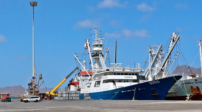 Eurodeputados votam hoje acordo de pescas UE-Cabo Verde aplicável a navios portugueses