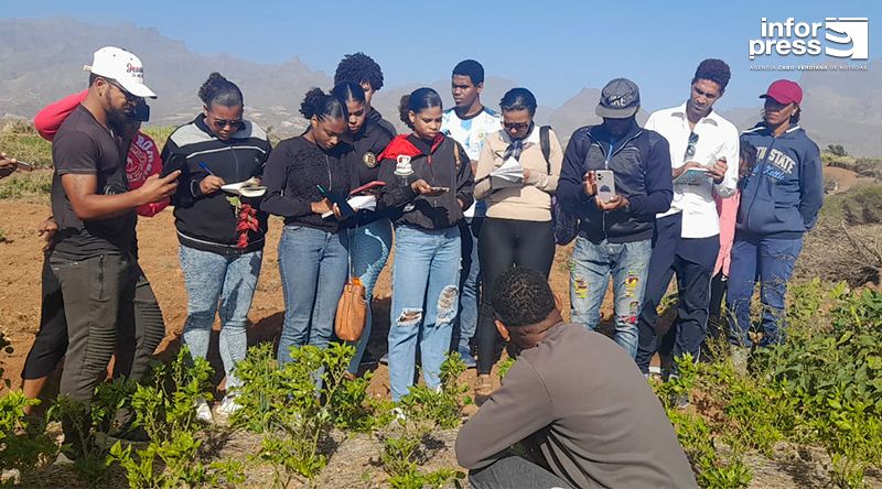 Santo Antão: Instituto proporciona aos alunos conhecimento sobre práticas agrícolas inovadoras na ilha