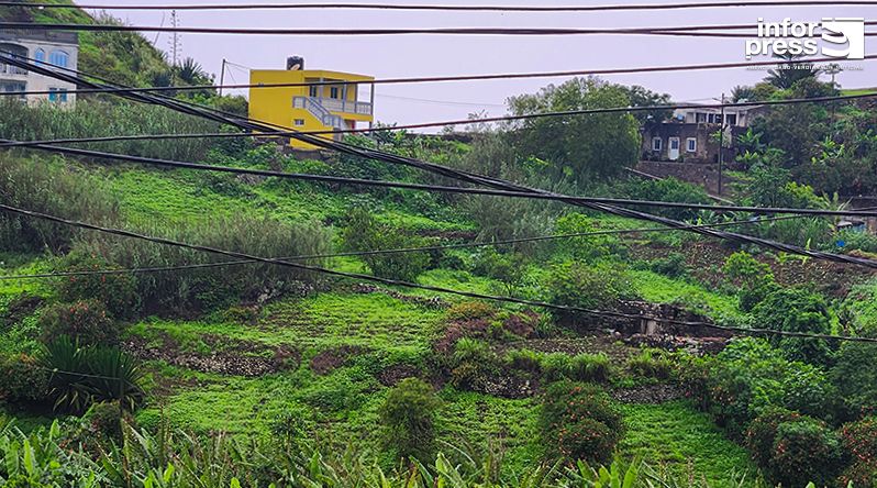 Brava: Associação Biflores destaca recuperação do ano agrícola e apela à diversificação das culturas (c/áudio)