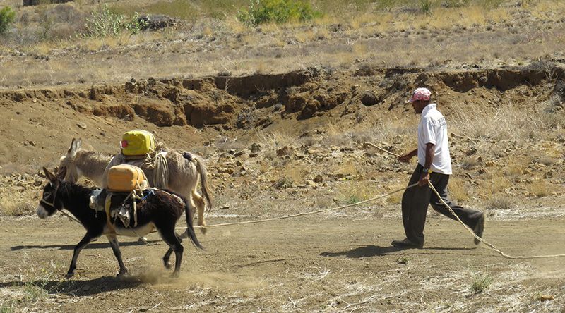 Porto Novo/Planalto Leste: Algumas comunidades sem água para consumo há uma semana – responsável