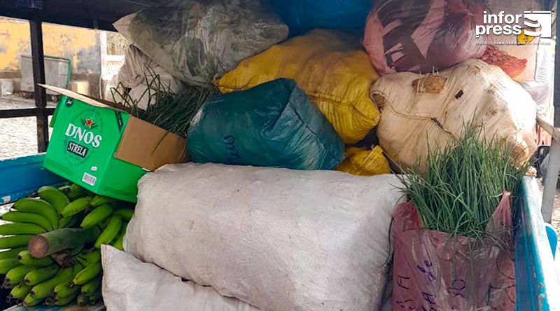 Porto Novo: Jovens agricultores da Casa de Meio apoiam famílias em São Vicente com produtos agrícolas