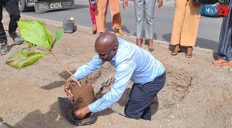 Santa Catarina: Câmara municipal assinala Dia Mundial da Árvore e da Floresta com plantação de árvores e acções nas escolas