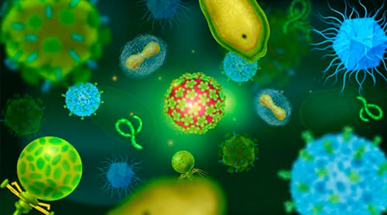 Investigadores alertam para falta de financiamento na área da biotecnologia