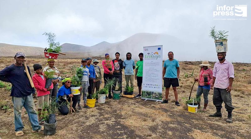 Porto Novo: Parque natural de Topo de Coroa recebe campanha de florestação e restauro dos ecossistemas naturais