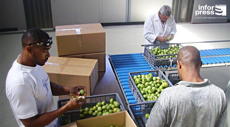 Porto Novo: Antigo centro de expurgo vai ser colocado ao serviço do Ensino Superior em Santo Antão – ministro