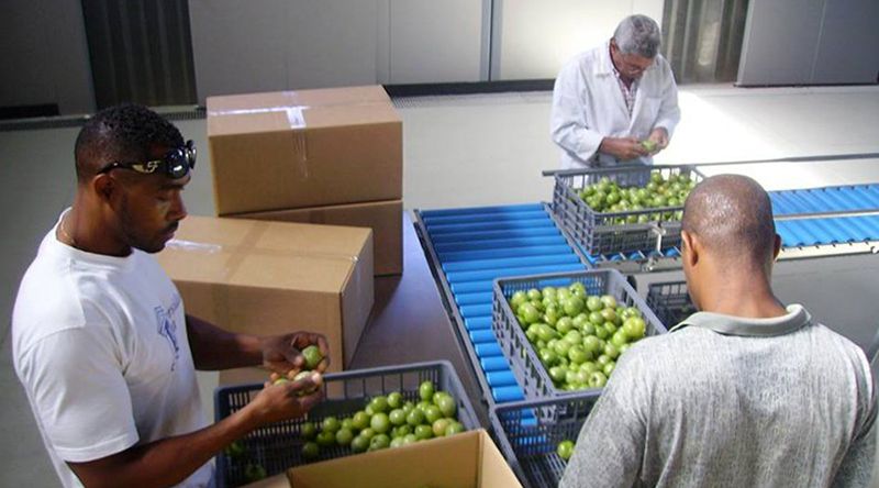 Porto Novo: Empresários interessados na aquisição do ex-centro de expurgo – MAA