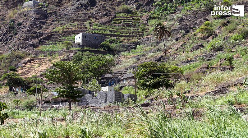 Porto Novo: Agricultores em Chã de Branquinho levam estrada ao interior do vale para facilitar escoamento