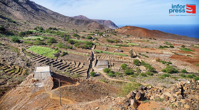 Porto Novo: Agricultores em Chã de Norte desesperam com pouca disponibilidade de água - representante 