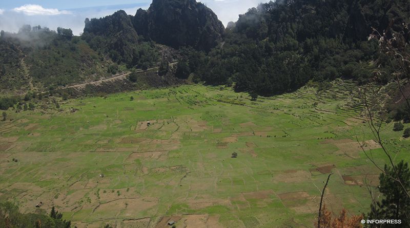 Santo Antão/Planalto Leste: Amupal desiste do projecto de produção de vinho por falta de parceiros
