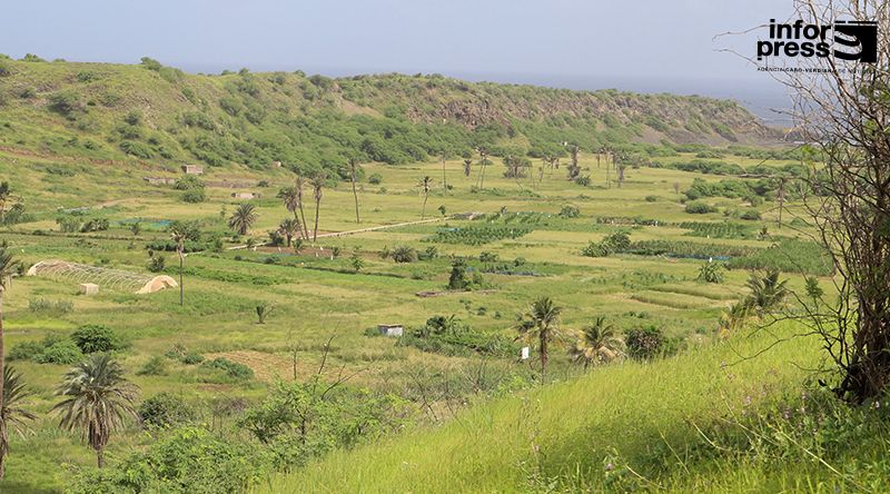 São Domingos: Governo garante que unidade dessalinizadora tem capacidade de abastecer todo o perímetro agrícola local 