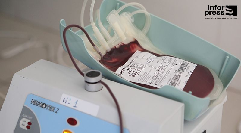 Doadores Voluntários: Nova presidente elege aumento da doação voluntária e modernização dos serviços como prioridades