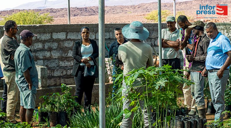 Porto Novo/Casa de Meio: Autarquia reconhece escoamento de produtos e abastecimento de água como desafios para jovens agricultores