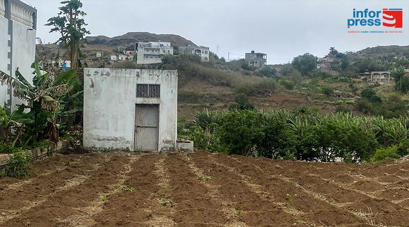 Brava: Lavradores dizem-se preocupados com escassez de mão de obra na agricultura