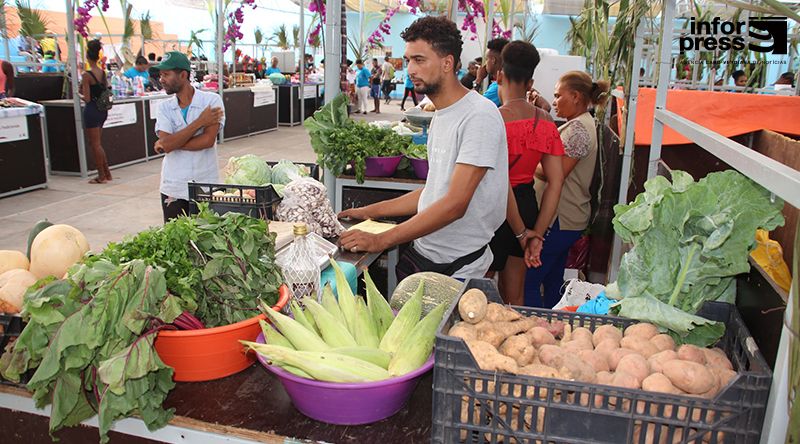 Porto Novo/São João: Feira agro-pecuária de Santo Antão vai ser deslocalizada para atender à demanda dos operadores – edilidade