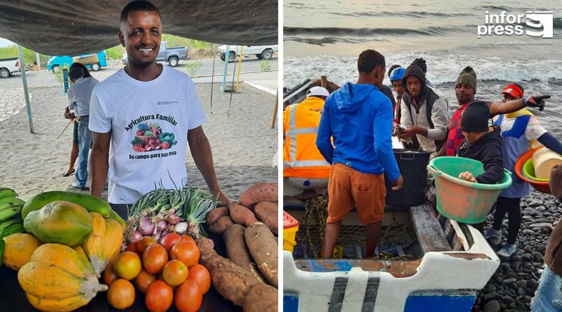 Porto Novo acolhe fórum "Abastecer as ilhas: Profissionalização e organização em rede das associações do sector primário”