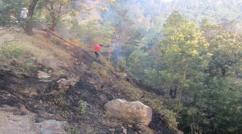 Ribeira Grande: Incêndio florestal em Pico da Cruz destruiu cerca de 20 hectares de área verde - delegado