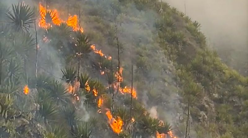 Fogo: Incêndio descontrolado e com várias frentes - autarca de Santa Catarina