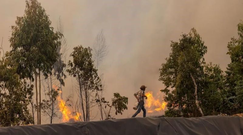 Portugal/Incêndios: Governo declara situação de alerta a partir de domingo até quinta-feira