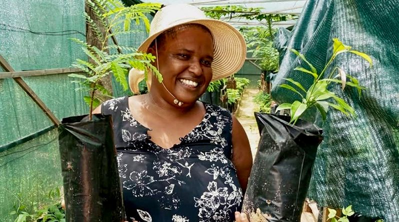 Fundação Maio Biodiversidade promove “mega campanha” de distribuição de plantas frutíferas nas comunidades
