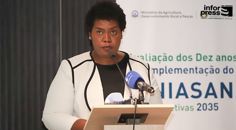 Ministra defende balanço crítico e construtivo de uma década do plano estratégico