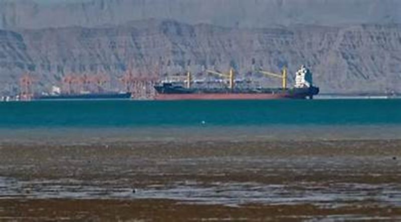 OMI regista 29 ataques a navios no estreito de Ormuz desde início da guerra