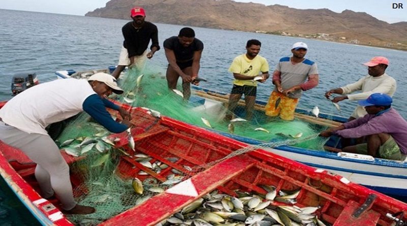 Pescas Costeiras: Cabo Verde participa no workshop e intercâmbio regional do projecto na Costa de Marfim