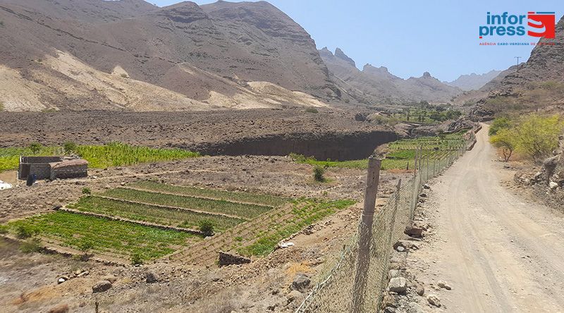 Porto Novo: Associação de agricultores preocupados com demora de chuvas e admitem espectro de mau ano agrícola   