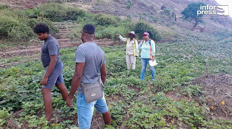 Porto Novo/Agricultura: Agricultores voltam a pedir recuperação da barragem de Chã de Branquinho