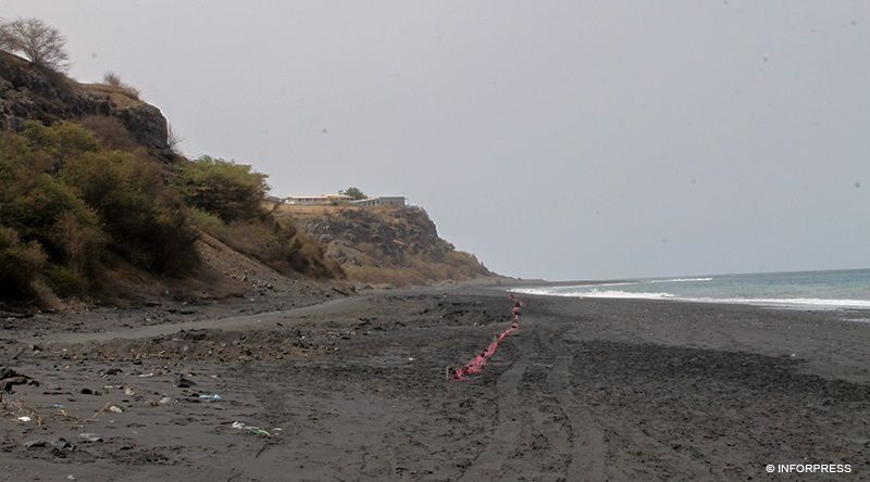 Fogo: Mais de uma tonelada de lixo retirada das três praias de desova de tartarugas marinhas