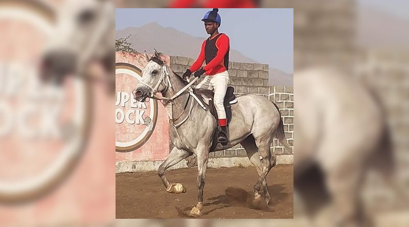 São Filipe: Badia fora da corrida de cavalos 2024 por lesão e a prova conta com apenas nove cavalos