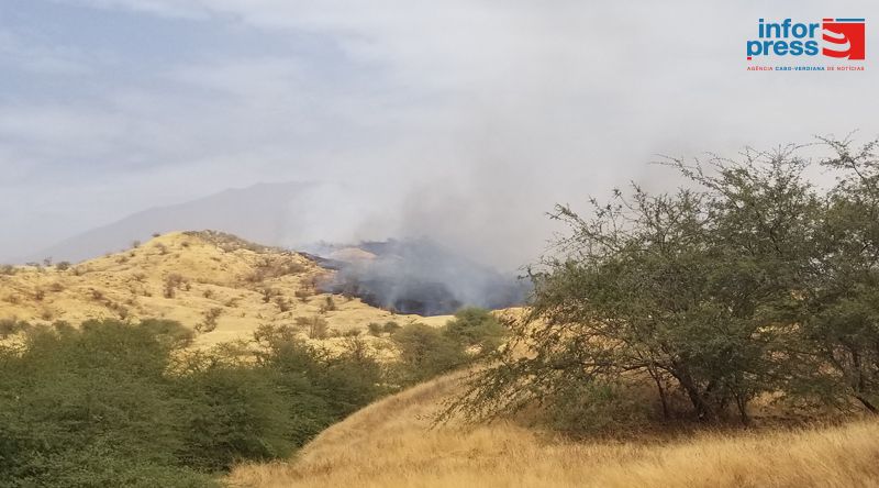 Fogo: Bombeiros e populares estão a combater incêndio que deflagrou por volta do meio-dia nas proximidades do aeródromo