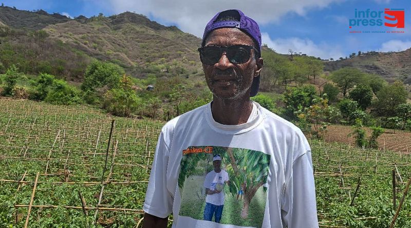 Órgãos: Agricultores acusam empresa de “má gestão” de água e temem perder toda a cultura