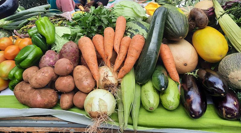 Porto Novo recebe em Agosto a primeira edição da “Feira na Cidade”