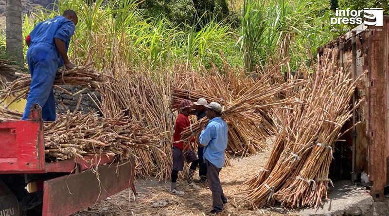 Santo Antão: Grogue genuíno santantonense “em alta” depois do Fórum Mundial do Rhum de Paris - produtor