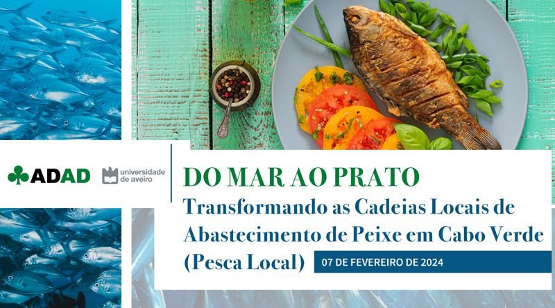 Projecto "Pesca Local" visa transformar cadeias locais de abastecimento de peixe como forma de preservar os recursos - ADAD