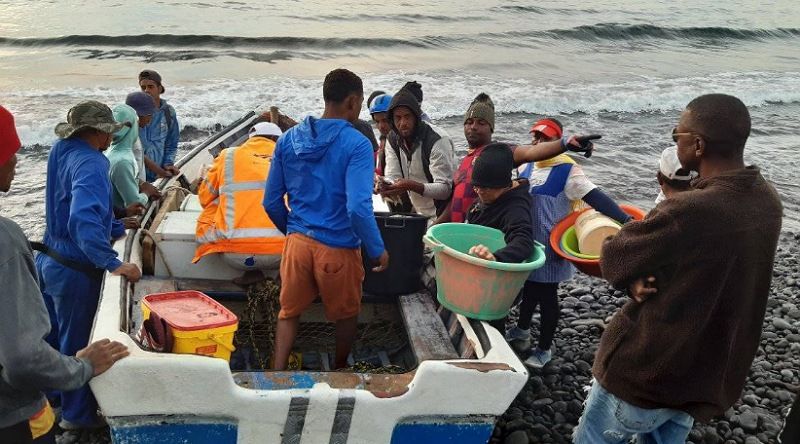 Porto Novo/Pescas: Associação de pescadores atinge a meta de ter todas as embarcações fibradas