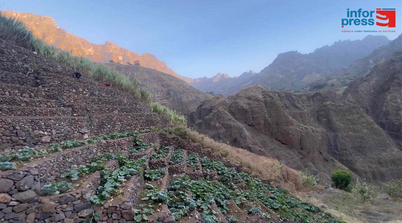 Porto Novo: Edilidade prevê investir mais de seis mil contos no sector agrícola ao longo deste ano