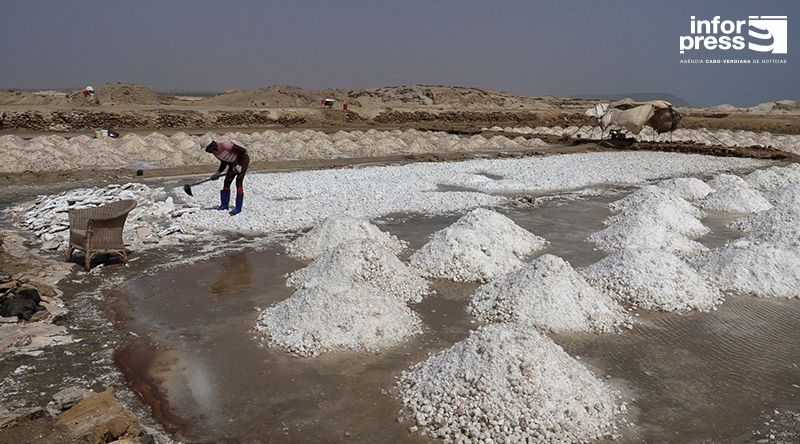 Salinas de Santa Maria dá vida a mineiros que do sal dependem para sobreviverem (c\vídeo)