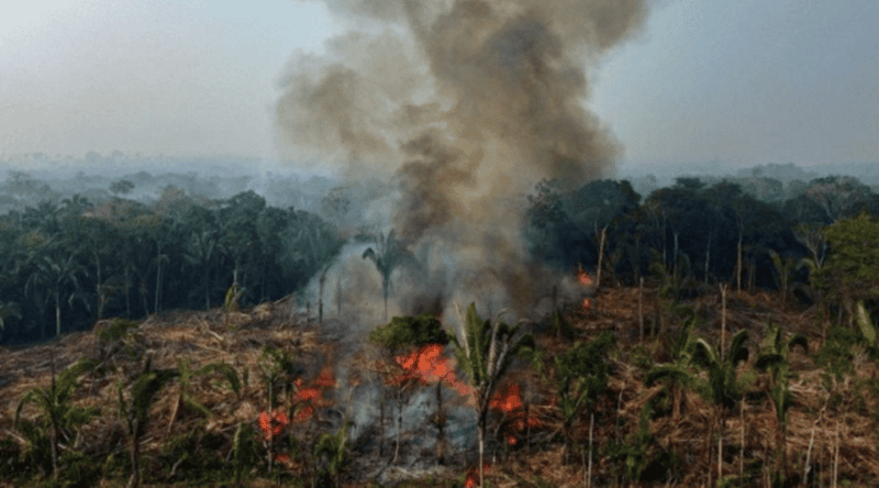 Lula apela aos países ricos financiamento à Amazónia em plena vaga de incêndios