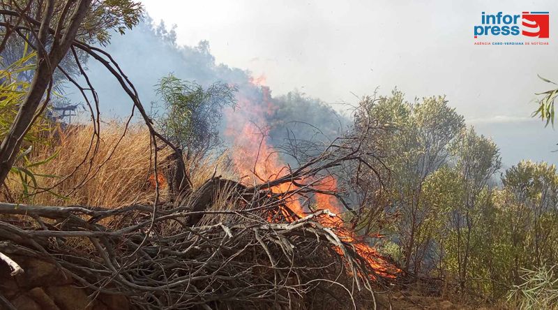 Santo Antão/Planalto Leste: Incêndio consome mais de dez hectares da floresta - Protecção Civil