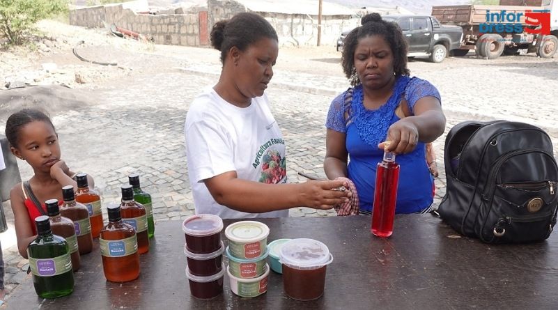 Porto Novo: Associações veem na transformação de produtos forma de atenuar o desemprego na camada feminina