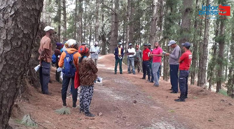 Santo Antão/Planalto Leste: Incêndio florestal já foi controlado – consumiu dois hectares entre floresta e zona agrícola