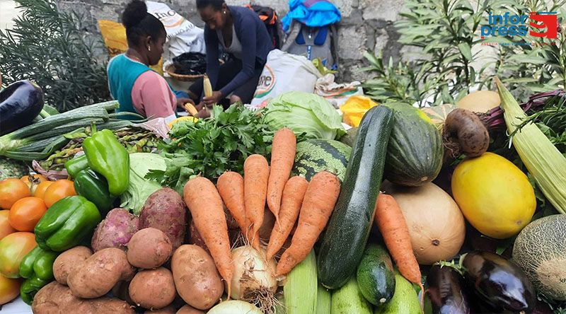 Porto Novo/Tarrafal de Monte Trigo: Produtores ansiosos pela operacionalização do entreposto agrícola – associação   