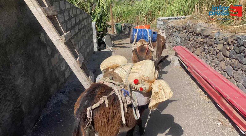 Porto Novo: Habitantes de Dominguinhas aliviados com garantia do Governo sobre estrada