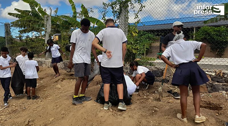 Ilha do Sal: Colégio Letrinhas planta 100 árvores em homenagem a Amílcar Cabral e promove saúde mental