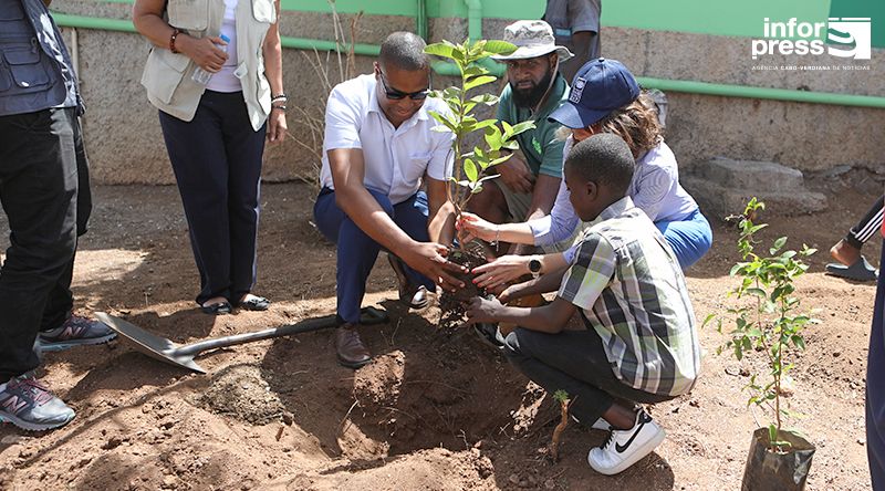 Dia Mundial do Ambiente: Aldeia Infantil SOS aposta na plantação de árvores para o bem-estar do ambiente