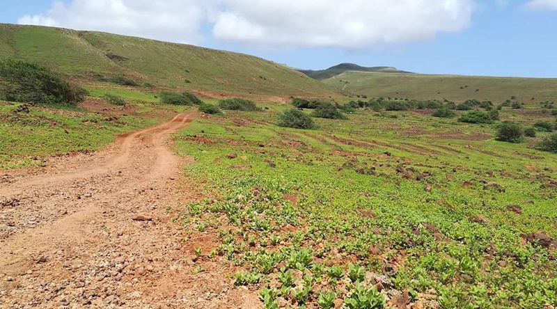 São Nicolau: Governo lança concurso de empreitada para construção da estrada Juncalinho - Carriçal