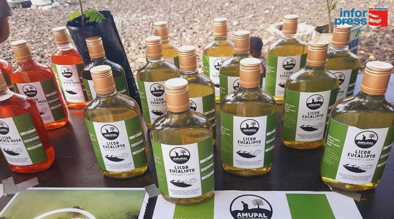Santo Antão: Selo de origem continua a distinguir produtos transformados e artesanato da ilha – promotores