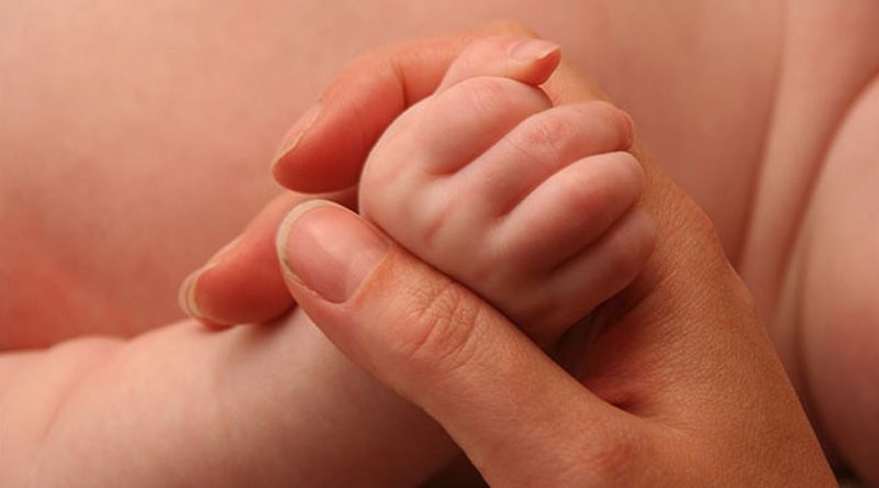 Vaticano diz que Teoria de género e “barrigas de aluguer” violam a dignidade humana
